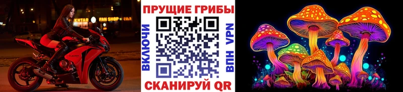 Купить где Зарайск Псилоцибиновые грибы Psilocybine cubensis